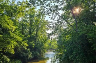 The Little Issues Publication #473 – Life, laughter, and many nice meals!