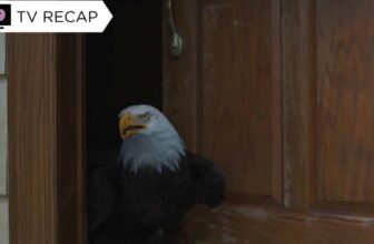 ‘Peacemaker’ Lastly Gave Its Finest Boy His Huge Hero Second