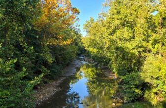 The Little Issues E-newsletter #487 – Life, laughter, and plenty of nice meals!