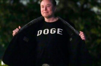 Elon Musk Followers Are Nonetheless Shedding Ridiculous Quantities of Cash to Crypto Scams