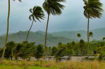 Watch These Stay Webcam Views of Jamaica as Hurricane Melissa Makes Landfall