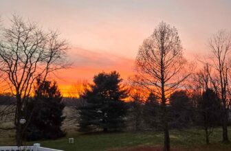 The Little Issues E-newsletter #501 – Life, laughter, and plenty of nice meals!