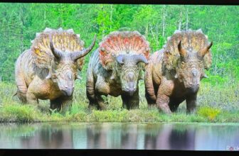 This LG TV is huge on vivid colours however lacks particulars at the hours of darkness