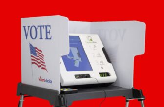 Chatbots Present Promise in Swaying Voters, Researchers Discover