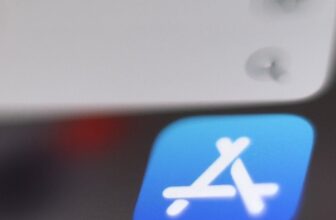 An App Known as ‘Are You Useless?’ Is Climbing the Apple Charts